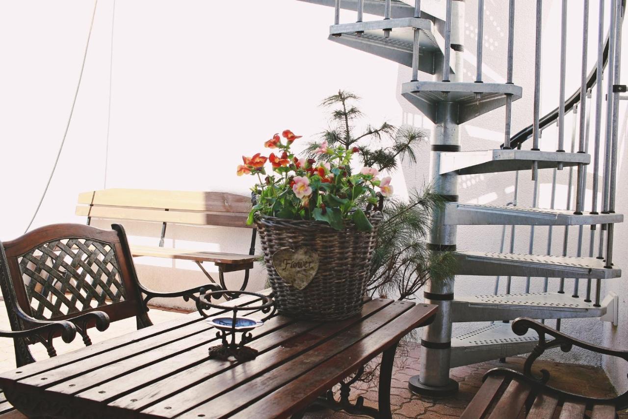 Pensjonat Jagoda B&B 米兹多洛杰 外观 照片